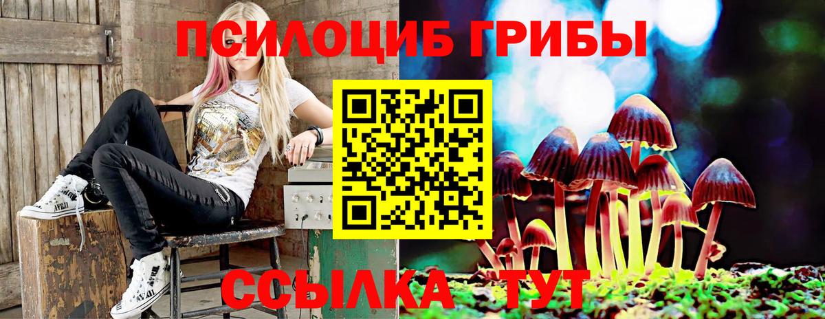 как найти закладки  Вход с VPN  Кинешма  Галлюциногенные грибы Psilocybe 
